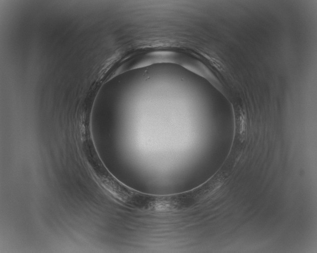 X0000052630264200507011328