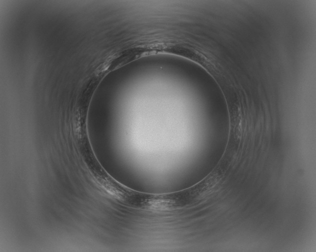 X0000052630268200507011328