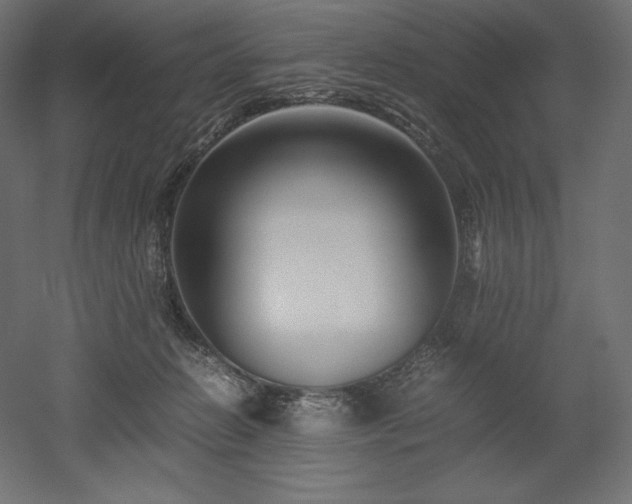 X0000052630270200507011328