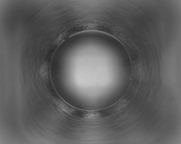X0000052630274200507011328