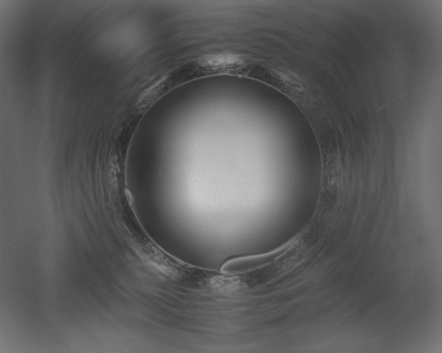 X0000052630279200507011328