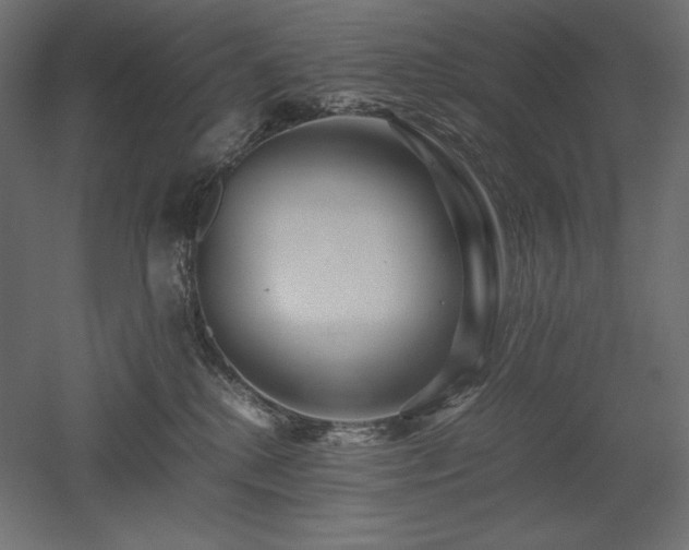 X0000052630280200507011328