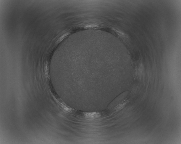 X0000052630281200507011328