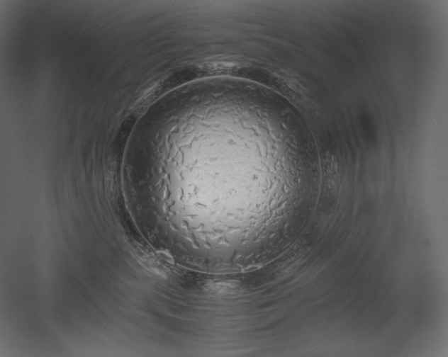 X0000052630283200507011328