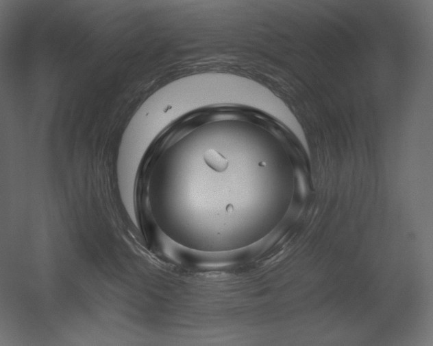 X0000052630284200507011328