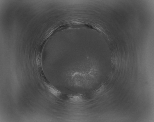 X0000052630285200507011328