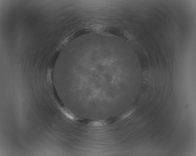X0000052630286200507011328