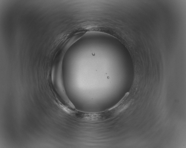 X0000052630288200507011328