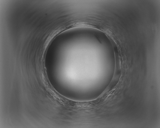 X0000052630289200507011327