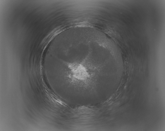 X0000052630290200507011327