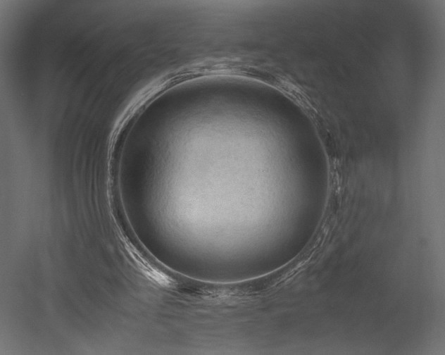 X0000052630293200507011327
