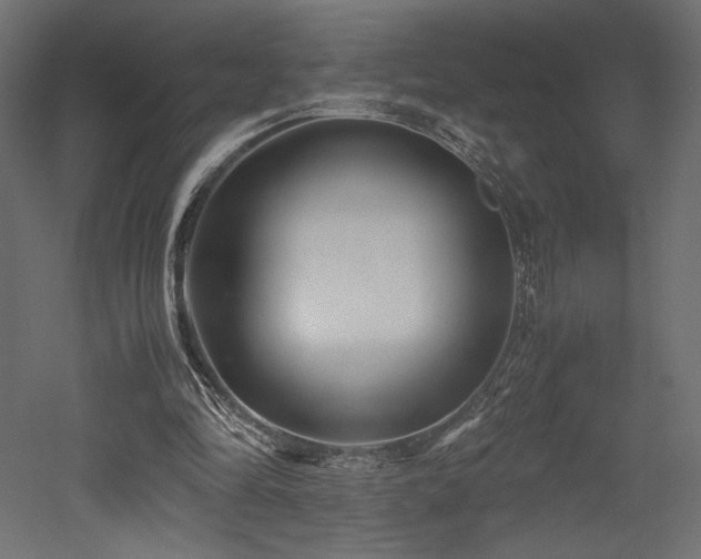 X0000052630294200507011327