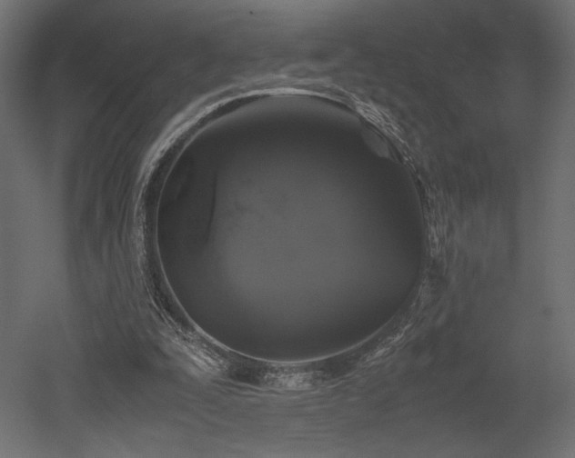 X0000052630295200507011327
