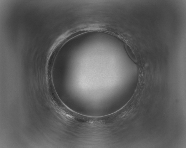 X0000052630296200507011327