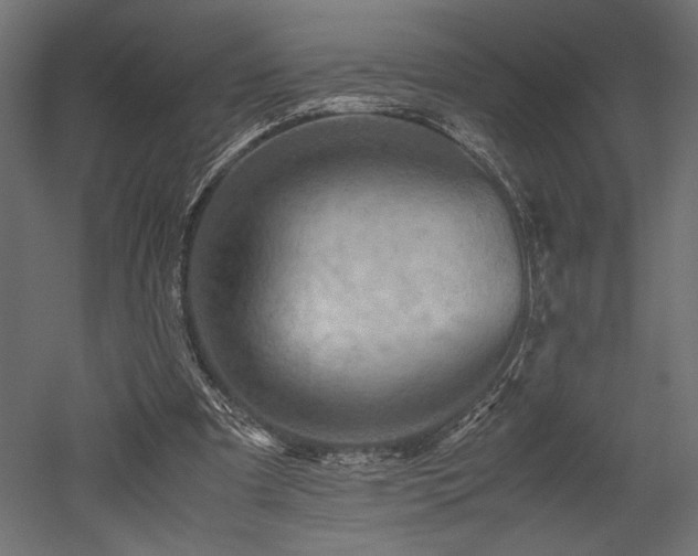 X0000052630297200507011327