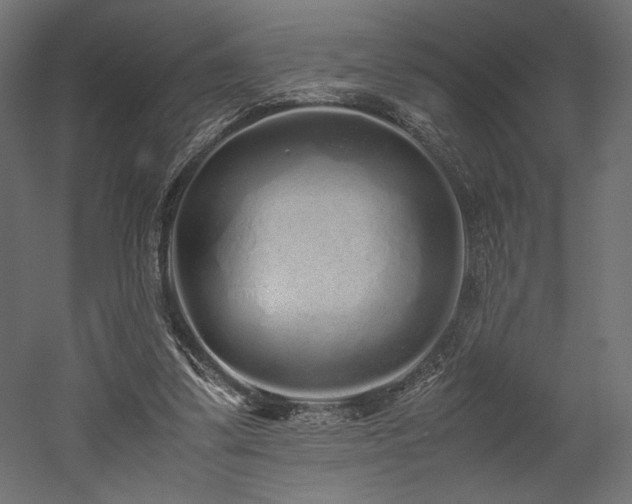 X0000052630299200507011327