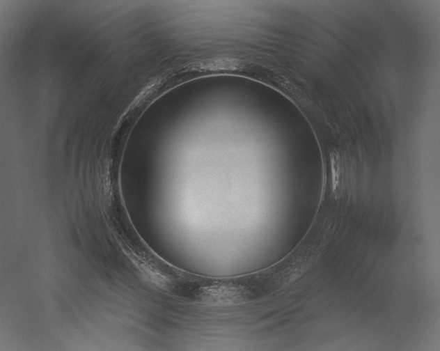 X0000052630300200507011327