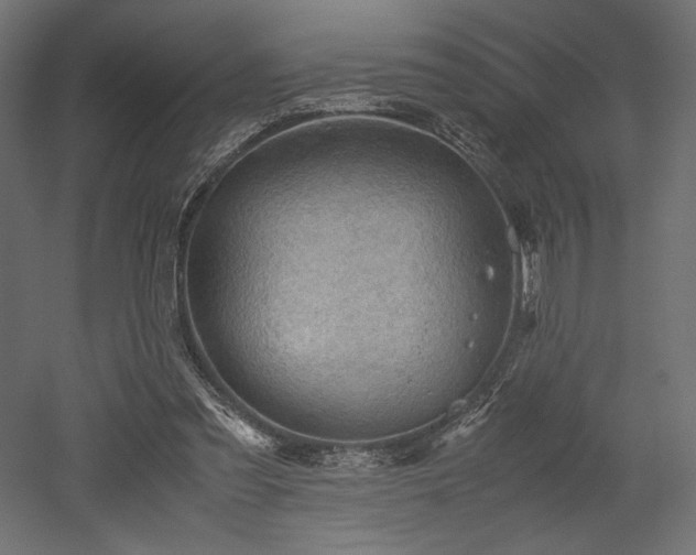 X0000052630301200507011327