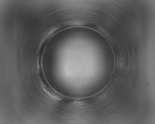 X0000052630302200507011327