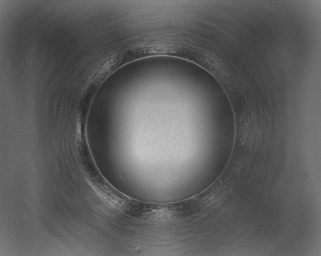 X0000052630310200507011327