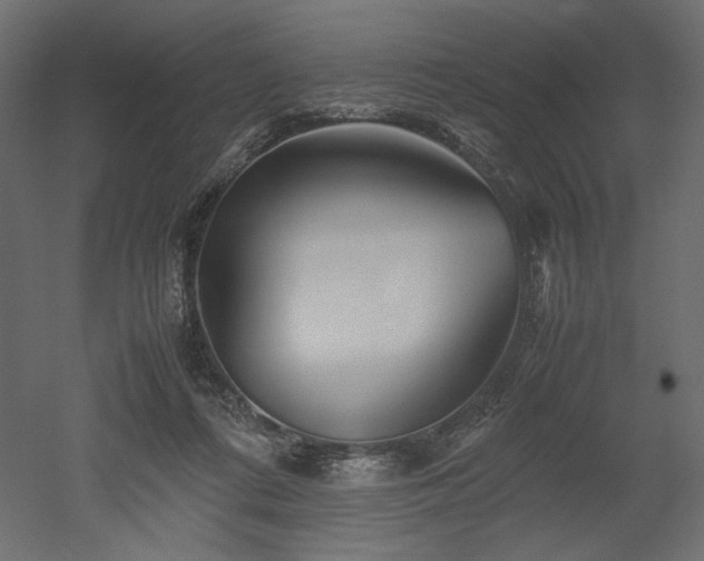 X0000052630312200507011327