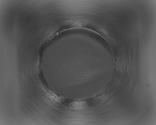 X0000052630314200507011327