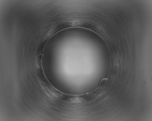 X0000052630316200507011327