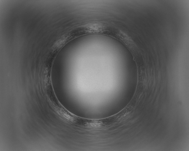 X0000052630318200507011327