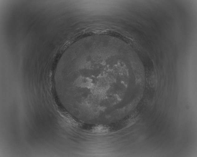 X0000052630319200507011327
