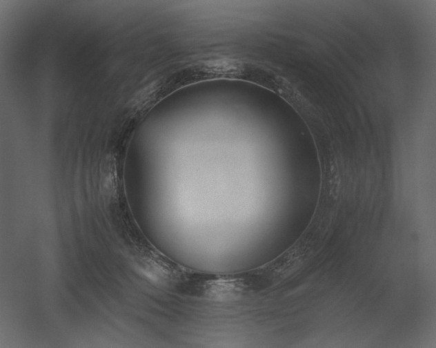 X0000052630320200507011327