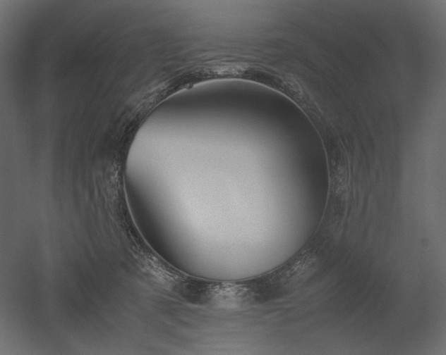 X0000052630321200507011327