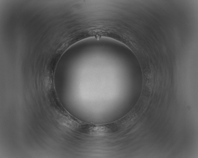X0000052630324200507011327