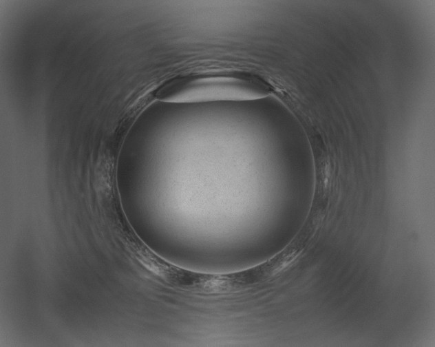 X0000052630325200507011327