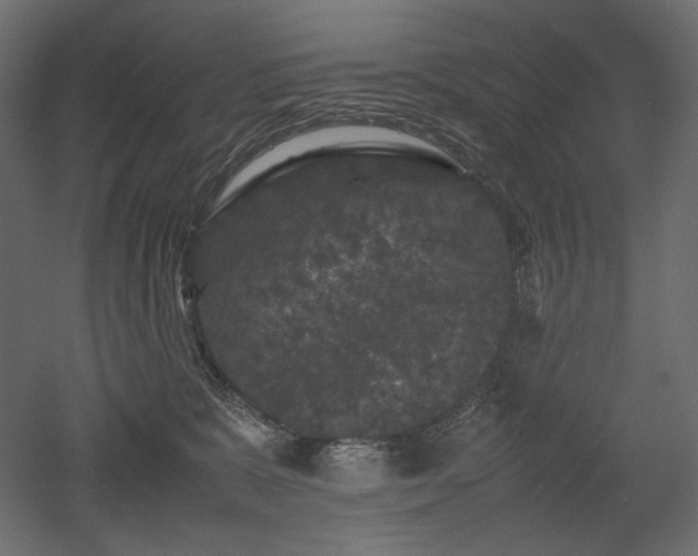 X0000052630327200507011327