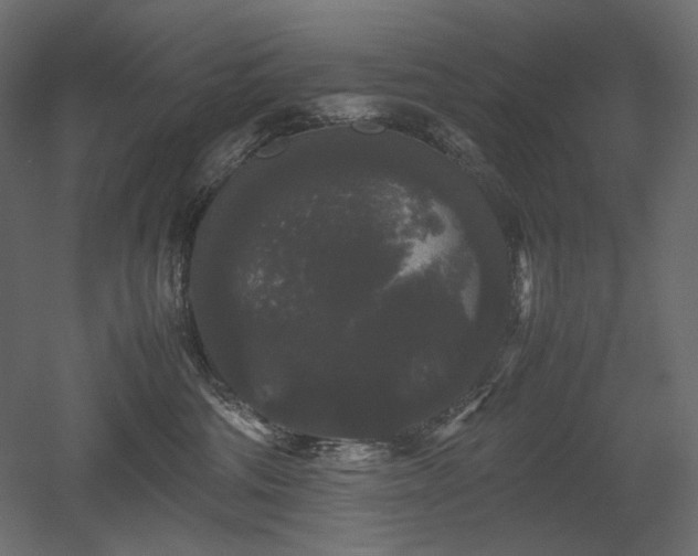X0000052630330200507011326