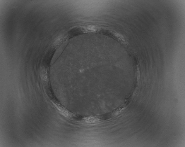 X0000052630331200507011326