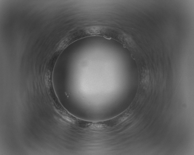 X0000052630332200507011326
