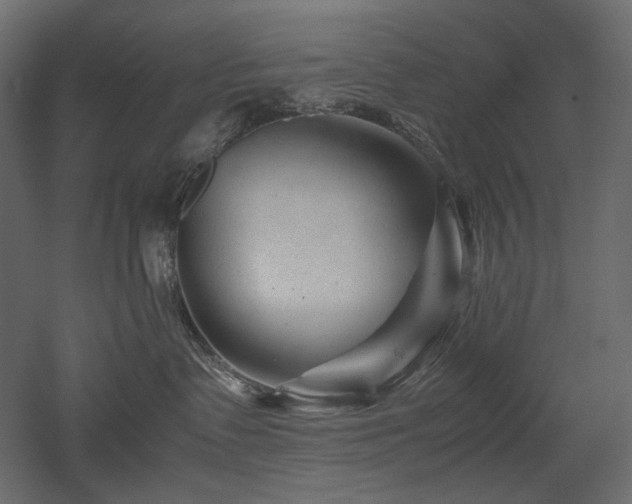 X0000052630335200507011326