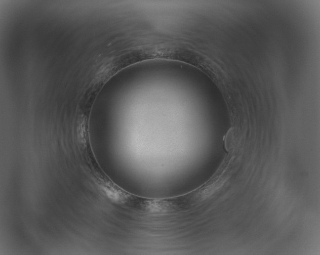X0000052630336200507011326