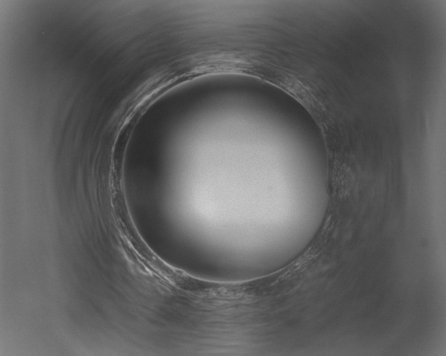 X0000052630338200507011326