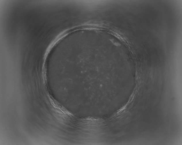 X0000052630343200507011326