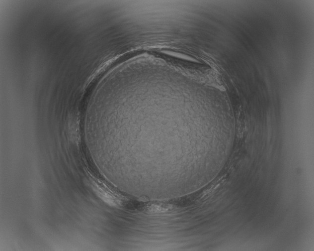 X0000052630346200507011326