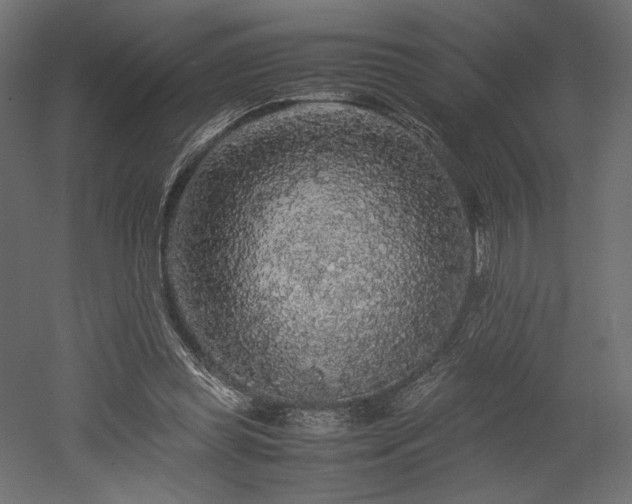 X0000052630349200507011326