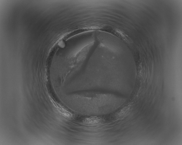 X0000052630351200507011326