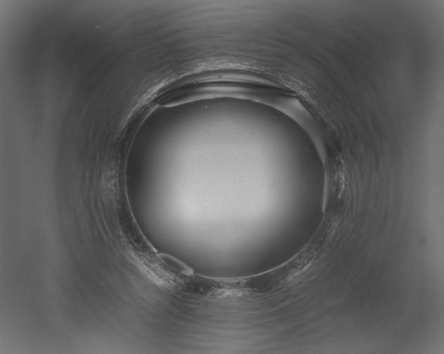 X0000052630352200507011326