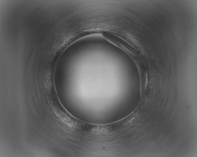X0000052630354200507011326