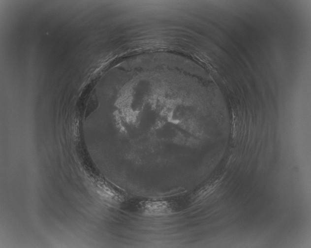 X0000052630355200507011326