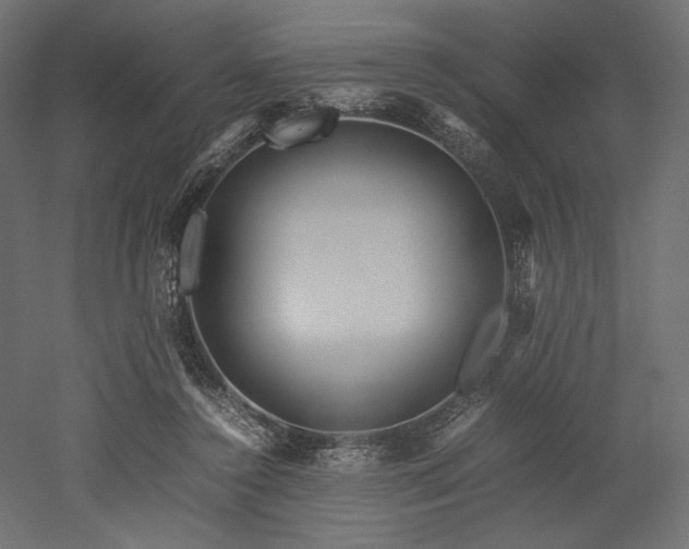 X0000052630356200507011326