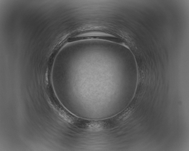 X0000052630358200507011326