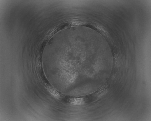 X0000052630361200507011326
